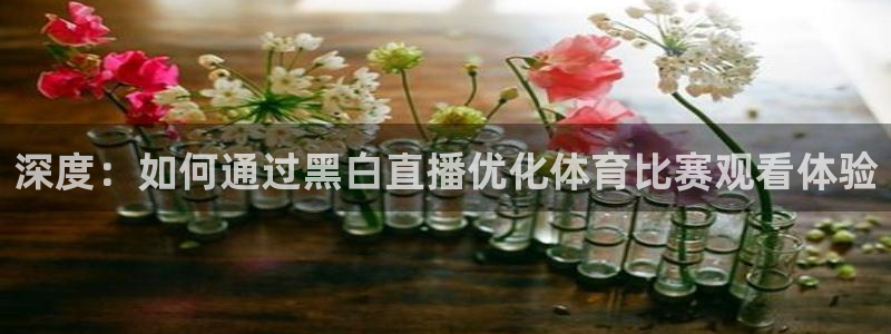 深度：如何通过黑白直播优化体育比赛观看体验