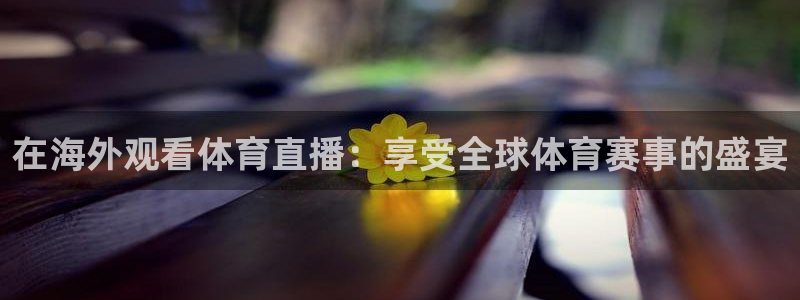 在海外观看体育直播：享受全球体育赛事的盛宴