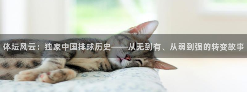 体坛风云：独家中国排球历史——从无到有、从弱到强的转变故事