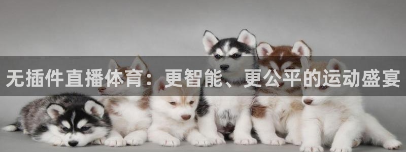 无插件直播体育：更智能、更公平的运动盛宴