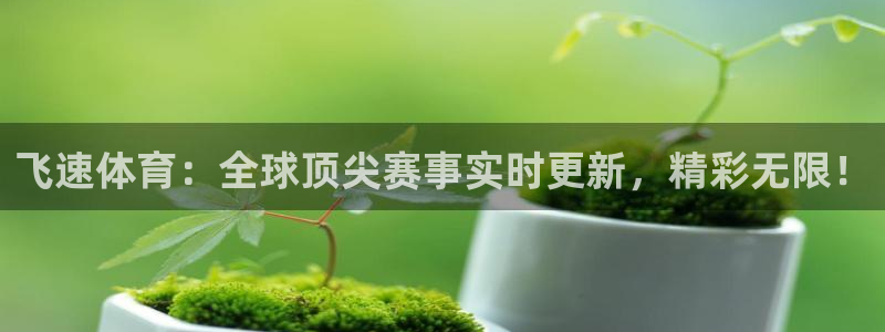 飞速体育：全球顶尖赛事实时更新，精彩无限！