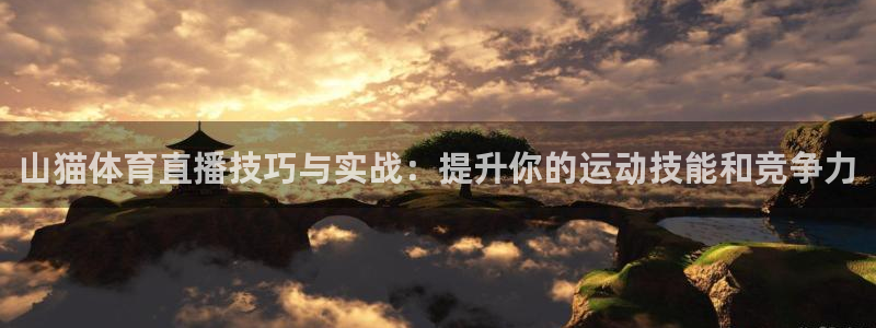 山猫体育直播技巧与实战：提升你的运动技能和竞争力