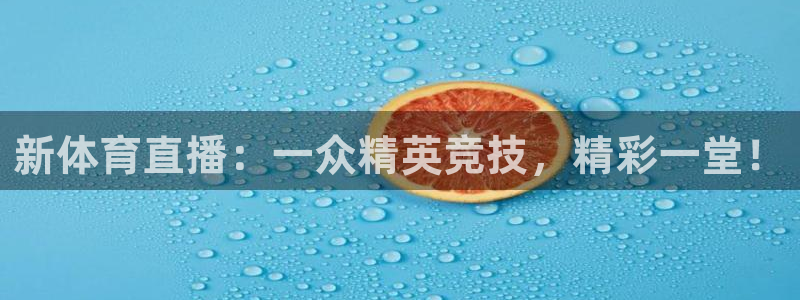 新体育直播：一众精英竞技，精彩一堂！
