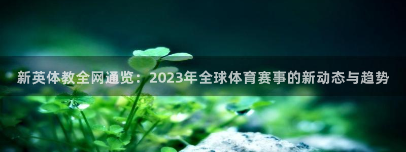 新英体教全网通览：2023年全球体育赛事的新动态与趋势