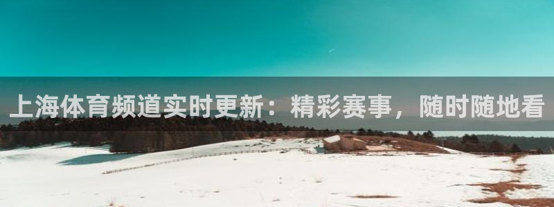 上海体育频道实时更新：精彩赛事，随时随地看