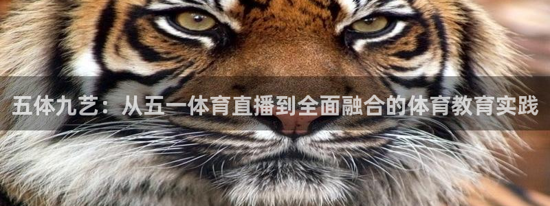 五体九艺：从五一体育直播到全面融合的体育教育实践