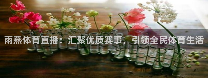 雨燕体育直播：汇聚优质赛事，引领全民体育生活