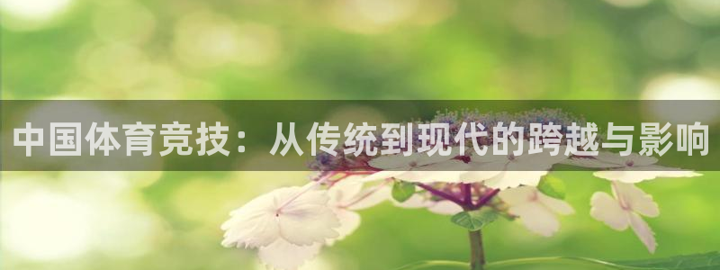 中国体育竞技：从传统到现代的跨越与影响