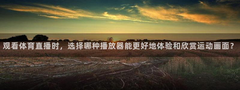 观看体育直播时，选择哪种播放器能更好地体验和欣赏运动画面？