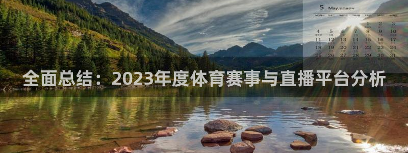 全面总结：2023年度体育赛事与直播平台分析