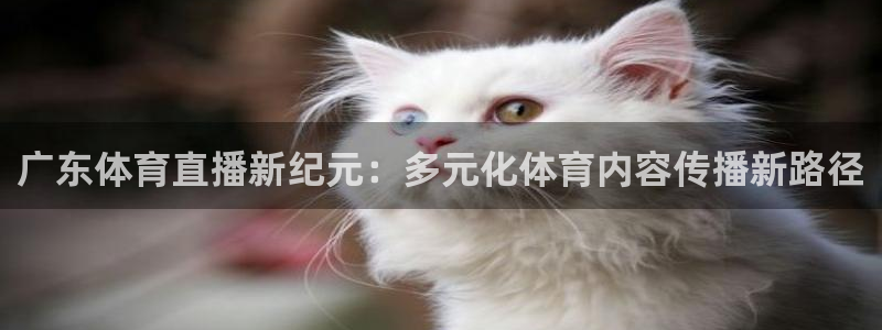 广东体育直播新纪元：多元化体育内容传播新路径