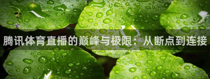腾讯体育直播的巅峰与极限：从断点到连接