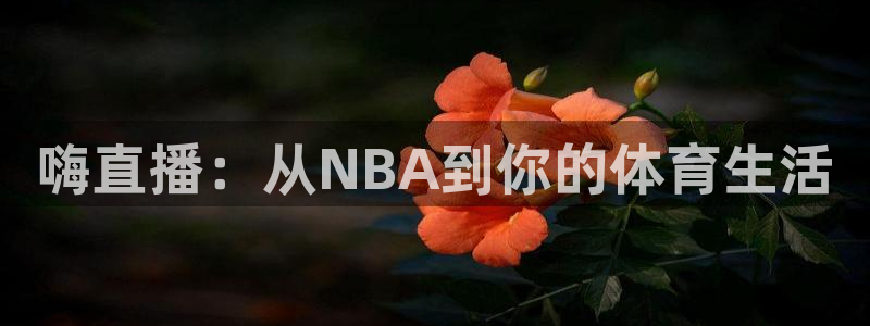 嗨直播：从NBA到你的体育生活