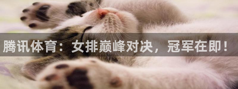 腾讯体育：女排巅峰对决，冠军在即！