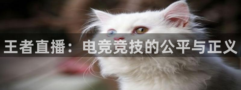 王者直播：电竞竞技的公平与正义