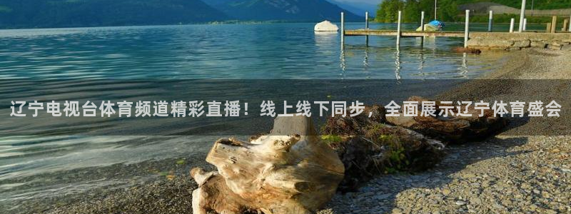 辽宁电视台体育频道精彩直播！线上线下同步，全面展示辽宁体育盛会