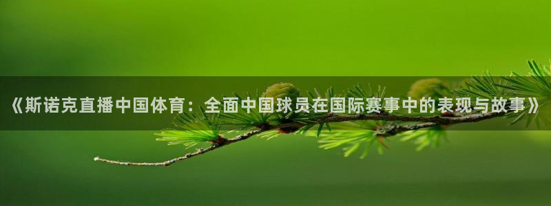 《斯诺克直播中国体育：全面中国球员在国际赛事中的表现与故事》